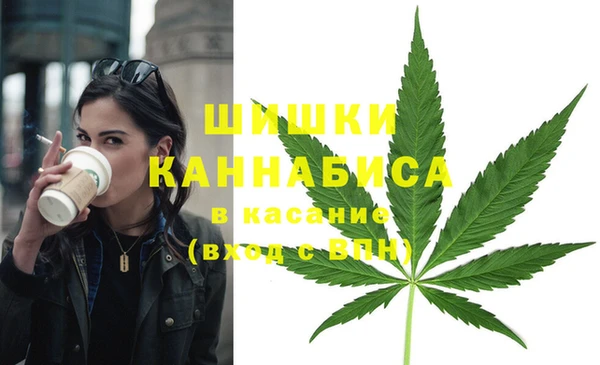 гидропоника Алзамай