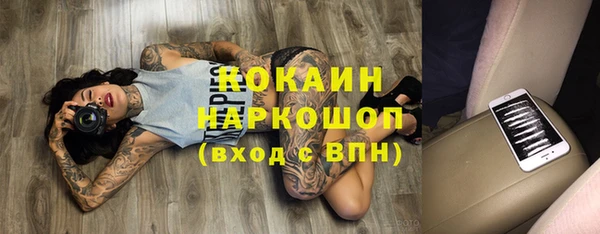 дурь Алексин