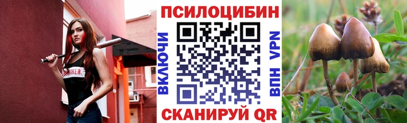 mega маркетплейс  Гаджиево  нарко площадка клад  Галлюциногенные грибы MAGIC MUSHROOMS 